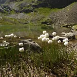Piz Mondin Apartmán *