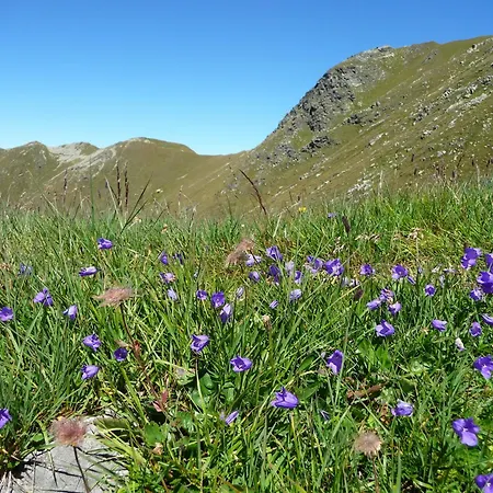 Apartament Piz Mondin