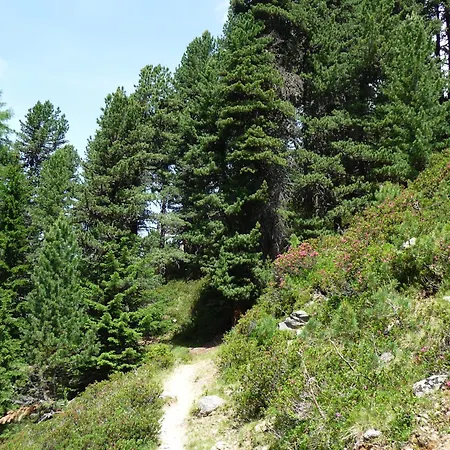 Piz Mondin Apartament Pfunds