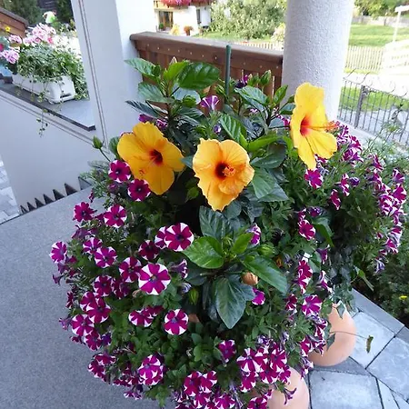 Apartament Piz Mondin *