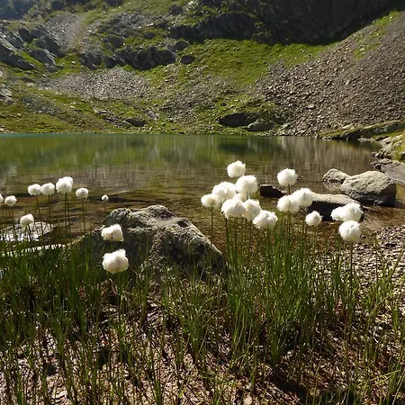 Piz Mondin Apartament *