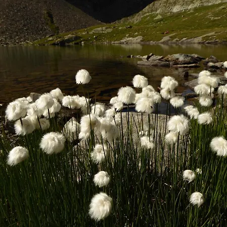 Apartament Piz Mondin