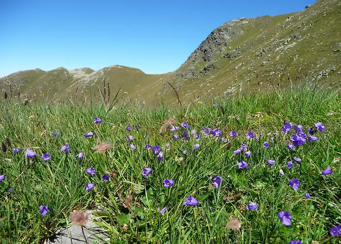 Apartament Piz Mondin