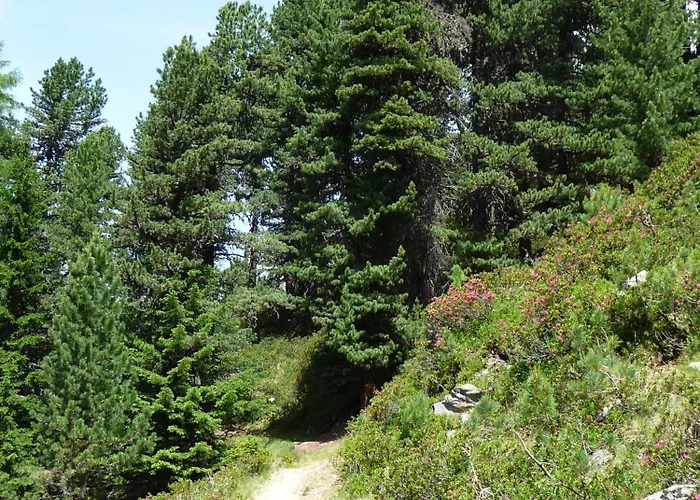 Piz Mondin Apartament Pfunds