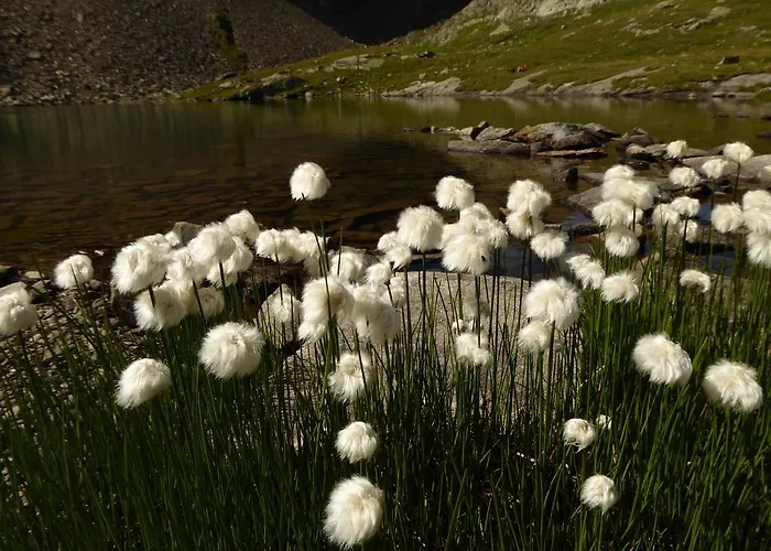 Apartament Piz Mondin